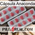 Cápsula Anaconda 19